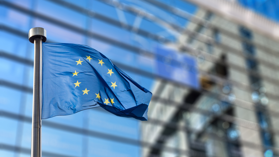 The picture shows the EU flag on a mast.