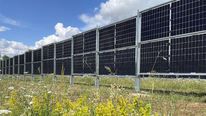 A flowering meadow in the foreground; behind it, vertically mounted solar modules rise into the sky.